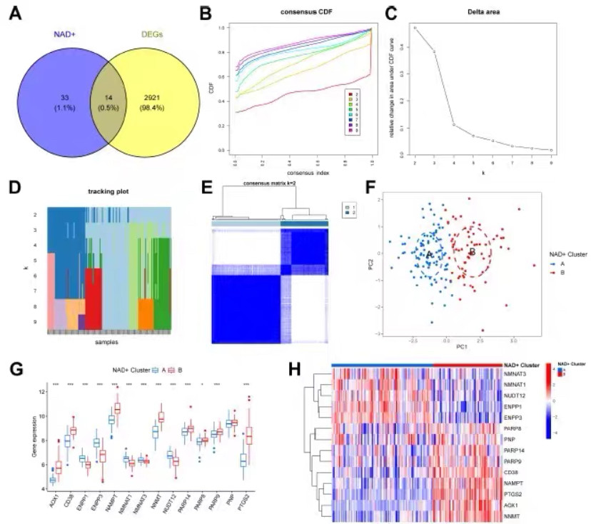 r语言统计画图随机森林作图绘图留学生python代码数据画图气泡饼