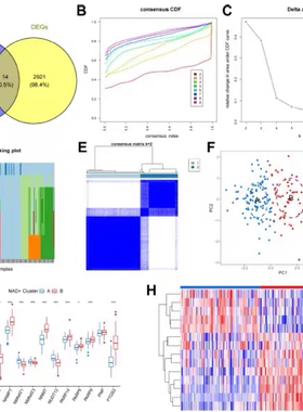 r语言随机森林统计logistic回归混合线性模型画图作图绘图留学生