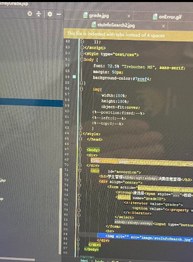 个人】r语言 web前端网页制作html设计dw代码web开发辅导css期末