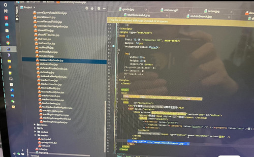 vue前端开发web开发网页制作html做Javaweb期末项目springboot