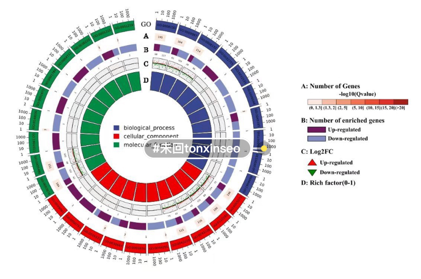 个人】r语言统计生信分析spss医学临床统计画图作图绘图python