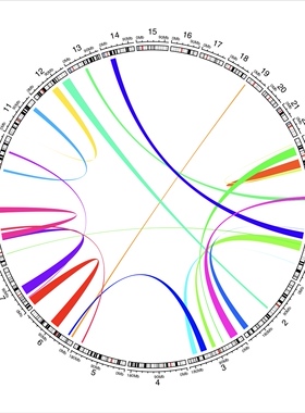 个人】r语言画图作图python做roc数据统计森林图SCI气泡图饼图