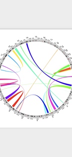 个人】R语言画图作图python做数据统计画图气泡图饼图热图火山