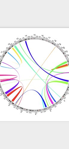 个人R语言画图数据统计分析spss计量回归作图python绘图热图报告