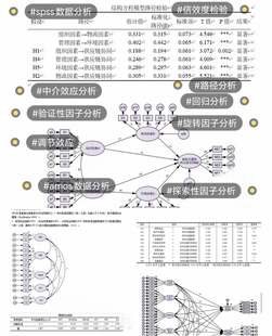 r语言分析绘图SPSS数据分析AMOS结构方程模型smartpls问卷定制sem