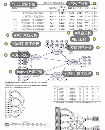 r语言分析绘图SPSS数据分析AMOS结构方程模型smartpls问卷定制sem