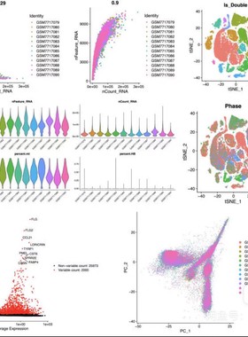 个人】r语言画图火山图散点图桑基图热图spss医学数据分析统计