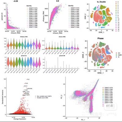 个人】r语言画图火山图散点图桑基图热图spss医学数据分析统计
