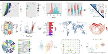 个人】留学生r语言作业统计贝叶斯SAS/Spss数据挖掘分析回归stata