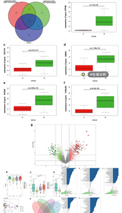 R数据统计临床亚组分析meta绘制roc曲线桑基图Python桑基图生信