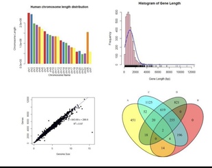 个人】r语言统计数理线性回归报告实证时间序列分析代码可视化