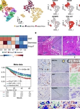 个人】r语言留学生作业英文essay金融实证spss报告Stata计量经济