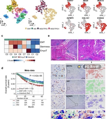 个人】R语言统计学混合效应回归数据分析随机森林概率论stata数理