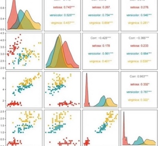 留学生辅导文书作金融教育商科业传媒统计数学report英文语