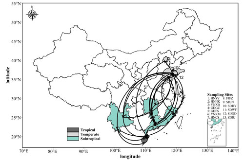个人】r语言绘图热图医学origin微生物生存火山图生信作图森林图