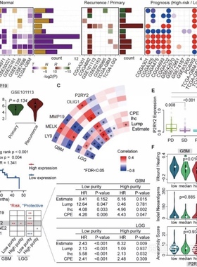 个人】r语言报告统计分析 985辅导作业作图实 战代码实证报告