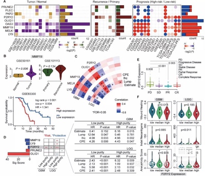 个人】r语言报告统计985辅导作图实战代码实证报告数据分析lasso