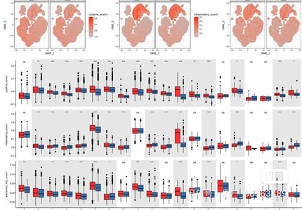 个人】r语言医学决策树随机森林生存分析spss临床药学机器学习
