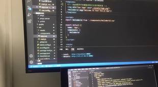 个人】r语言辅导报告网页设计与制作 web网页开发html搭建期末