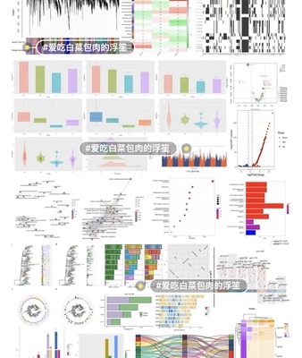 个人】r语言临床医学cox转录组roc曲线绘作图热图医学画图森林图