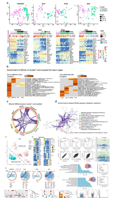 个人】r语言spss数据分析生信GO转录组三线表cox医学sas临床sci