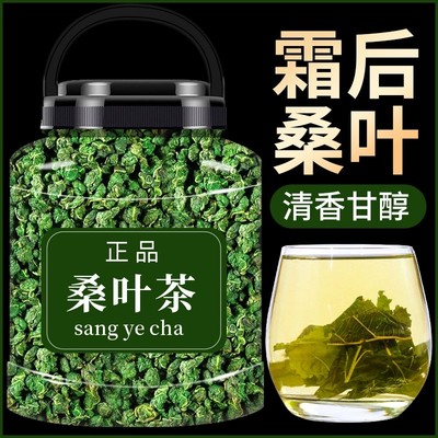 霜后桑叶茶正品500g罐装