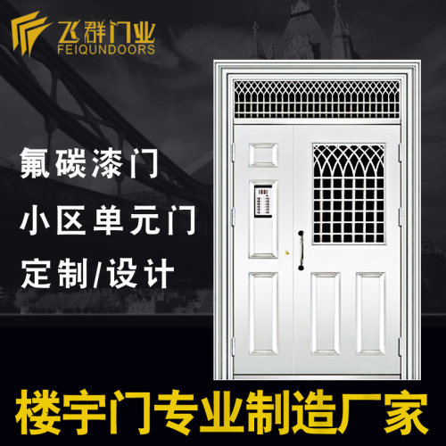 飞群单元门氟碳漆小区防盗楼道门