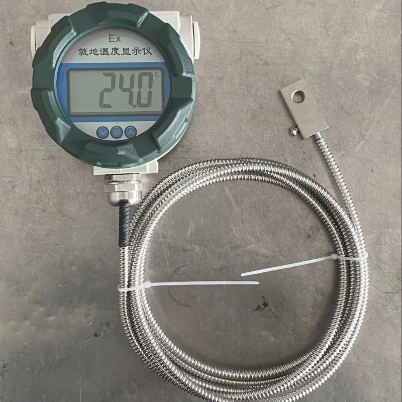 分体式防爆表壳型就地温度计 温度显示仪电池供电带R29集热块定制