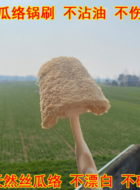 丝瓜络洗锅刷长柄刷锅神器不伤手洗碗老丝瓜家用厨房不粘锅清洁刷