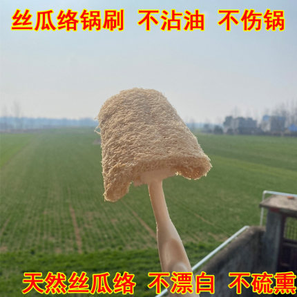 丝瓜络洗锅刷长柄刷锅神器不伤手洗碗老丝瓜家用厨房不粘锅清洁刷