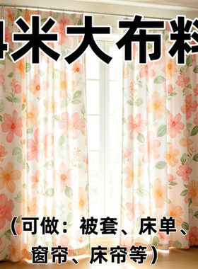 微瑕特价4米布料大块花布卡通沙发布/窗帘隔断宿舍工地遮尘防尘布