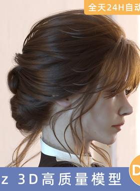 Daz3D素材模型资源dForce Princess Petra's GracefulBun头发盘发