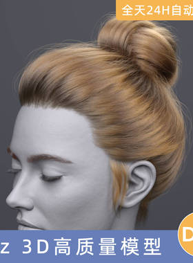 Daz3D素材模型资源头发型dForce FV Knot Updo Hair forGenesis9