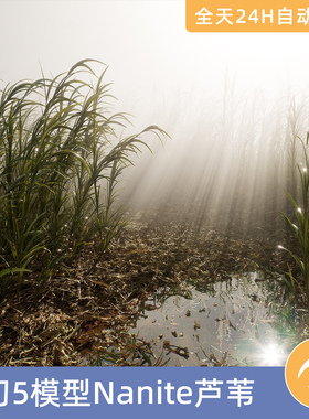 UE5虚幻素材模型资源资产Nanite芦苇VOL.1植物子绿枯叶树枝芦苇荡