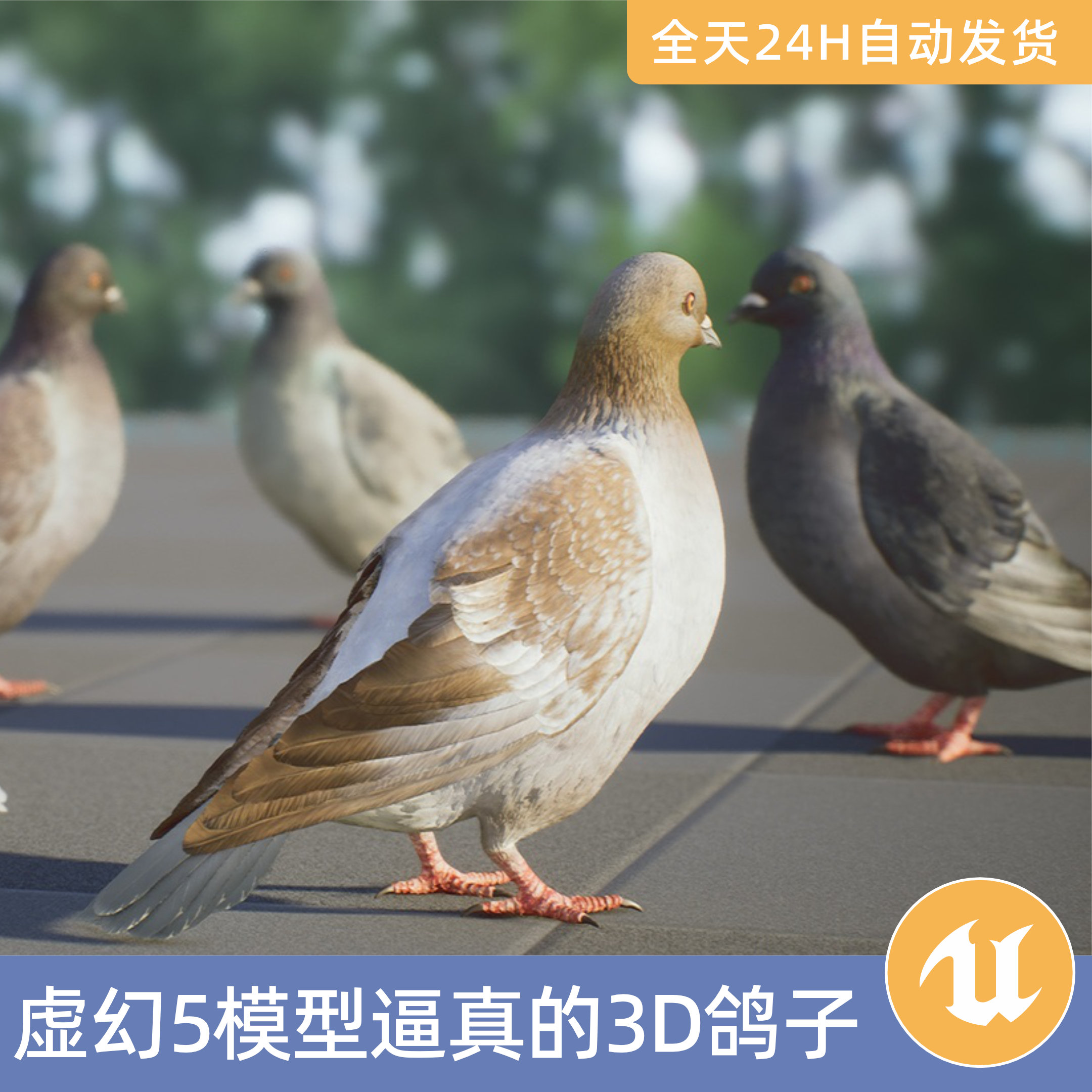 UE5虚幻5素材模型资产逼真的3D鸽子和动画包动物飞禽鸟