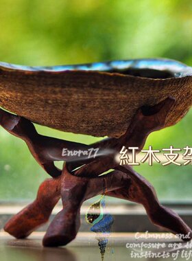 原木支架鲍鱼壳鼠尾草