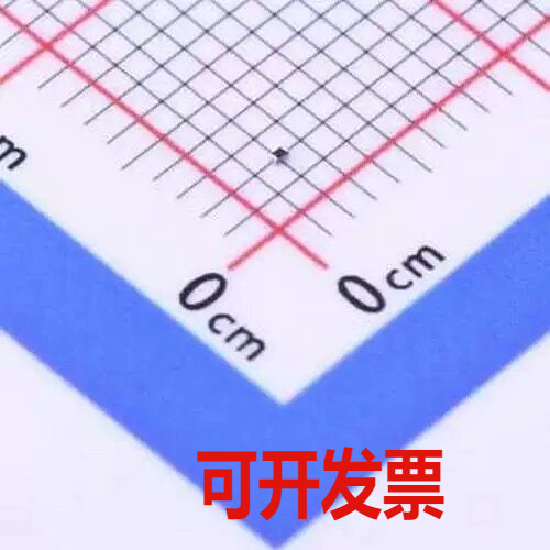 CRCW0201120RJNED 贴片电阻 厚膜电阻 120Ω ±5% 50mW 0201 - 实物图