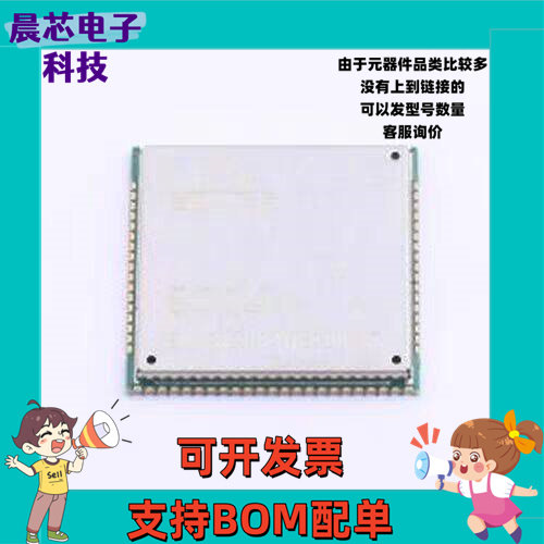 EC04-SGC 2G/3G/4G/5G模块 4G模块 SMD,24x24mm