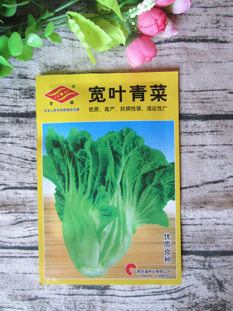 云南蔬菜种子包邮宽叶青菜15克四季阳台花盆diy自己栽种植大苦菜
