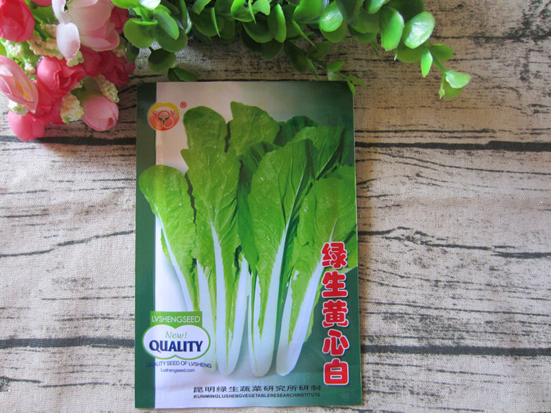 云南蔬菜种子春季绿生黄心白30克昆明本地品种小白菜籽花园阳台播