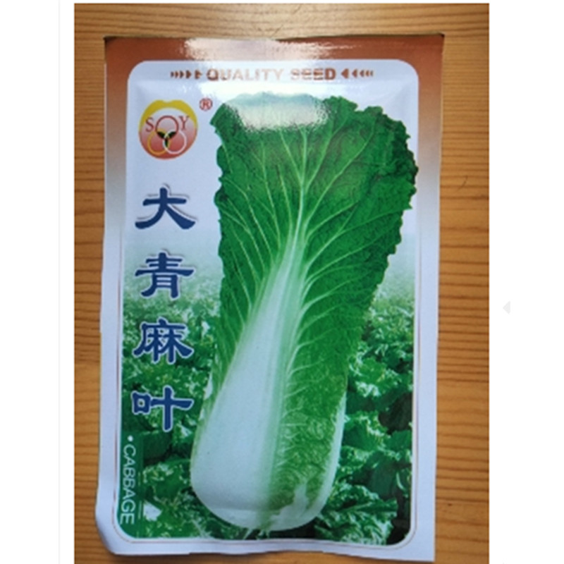 大白菜蔬菜种子绿生生源云南菜籽