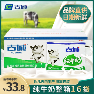 山西特产古城原味纯牛奶整箱200ml*16袋装百利包全脂灭菌乳当天发