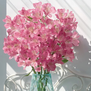 六出花「春日桃桃」10支 2单中通3单顺丰