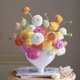 「洋牡丹」30支&50支多色可选（0度地区拍保温·否则冻坏不售后）