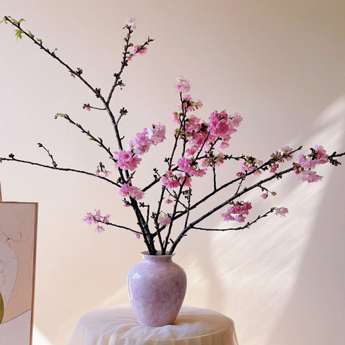 鲜切花「樱花」1扎（2单中通3单顺丰）