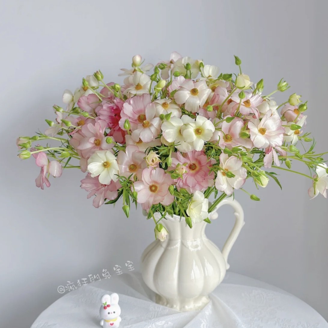 「蝴蝶」洋牡丹-小众花材（2单中通3单顺丰）