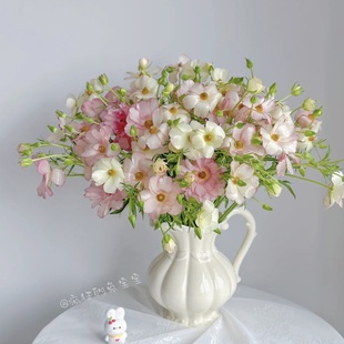 包邮 2单 小众花材 「蝴蝶」洋牡丹