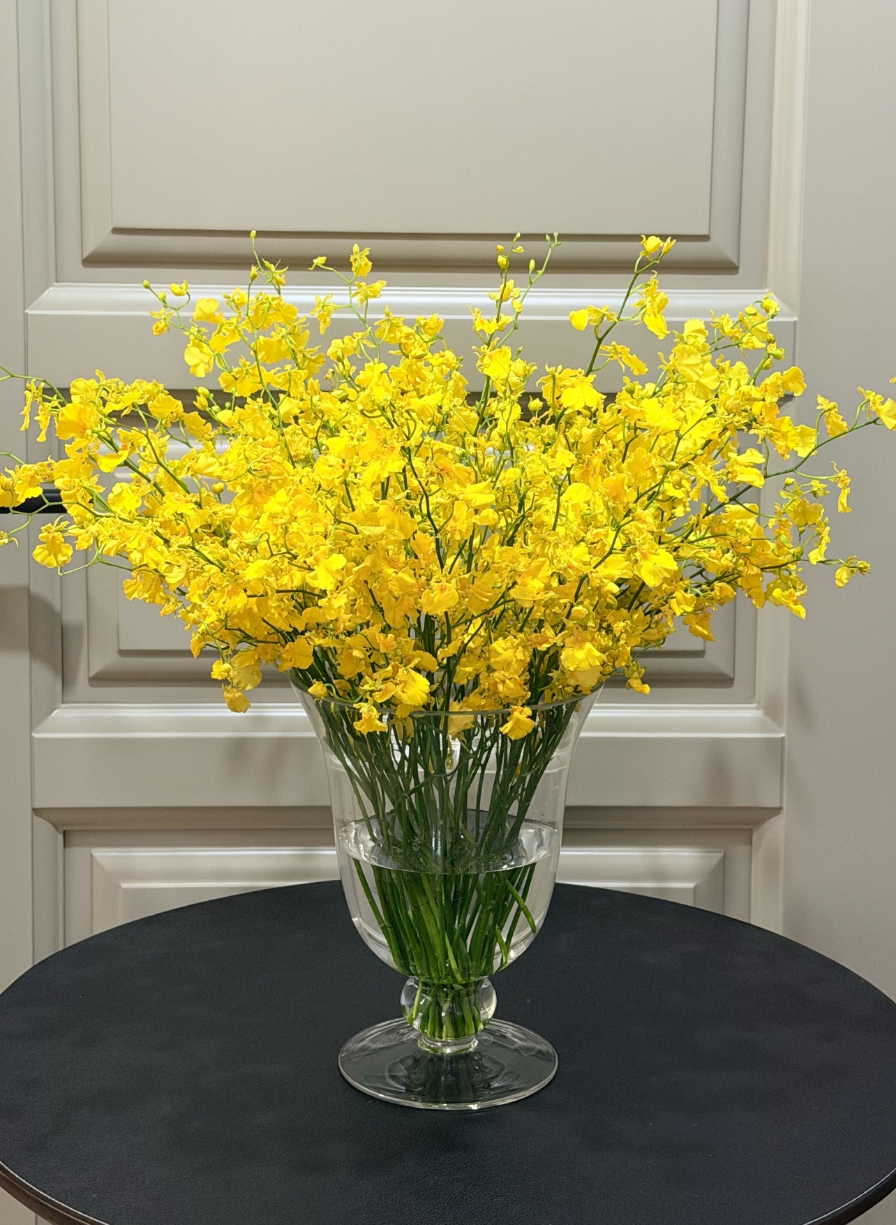 「跳舞兰」10支（2单中通3单顺丰）