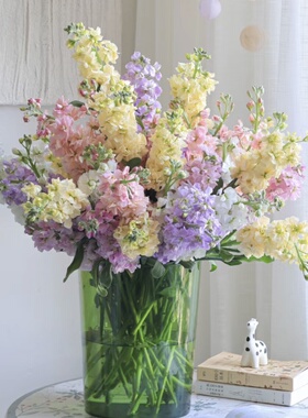 小众花材「紫罗兰」10支多色可选鲜切花云南鲜花直发带香味年宵花