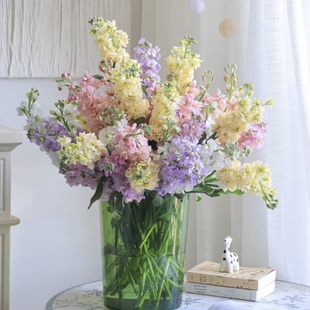 小众花材「紫罗兰」10支·可选色 2单中通·3单顺丰